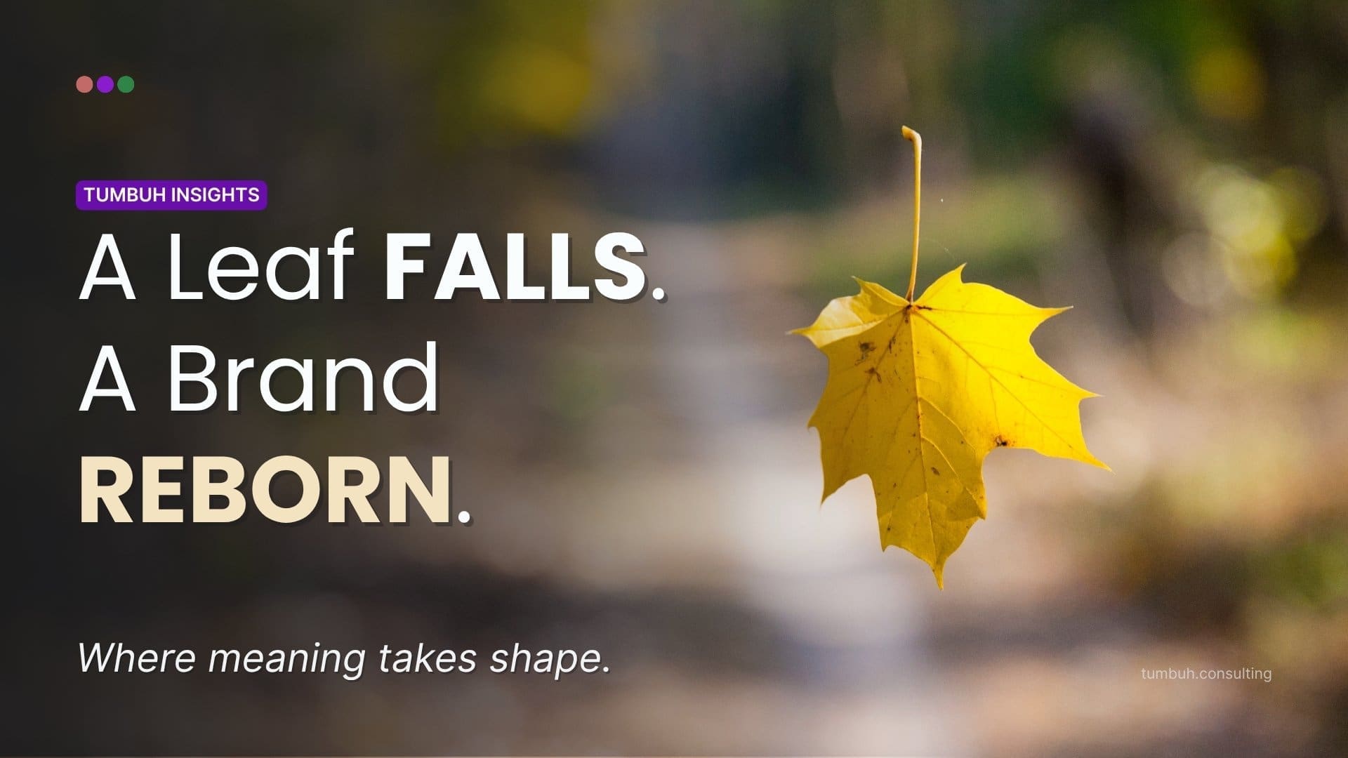TUMBUH Insights: Falling Leaf to a Brand Reborn Featured Image