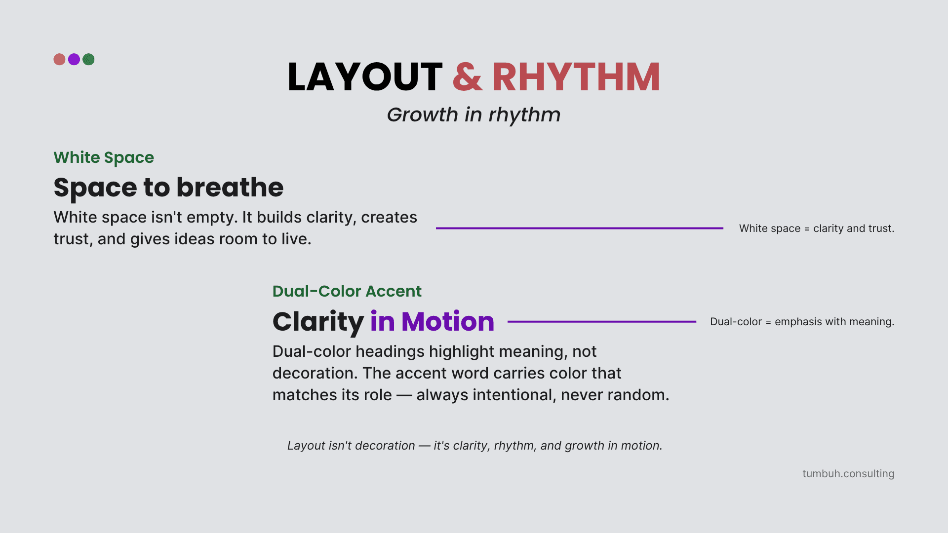 TUMBUH Insights - Falling Leaf to a Brand Reborn - The Layout & Rhythm