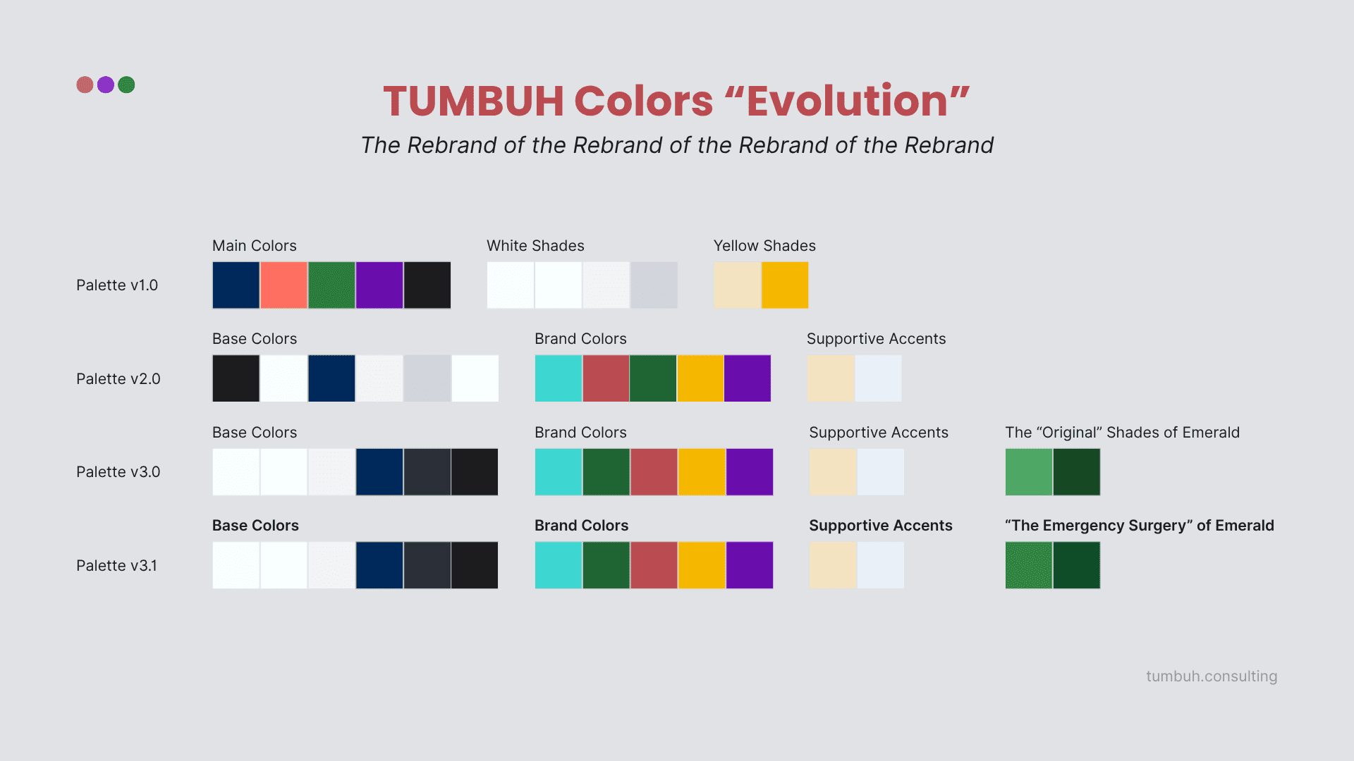 TUMBUH Insights - Lessons from Our Rebrand - The Colors