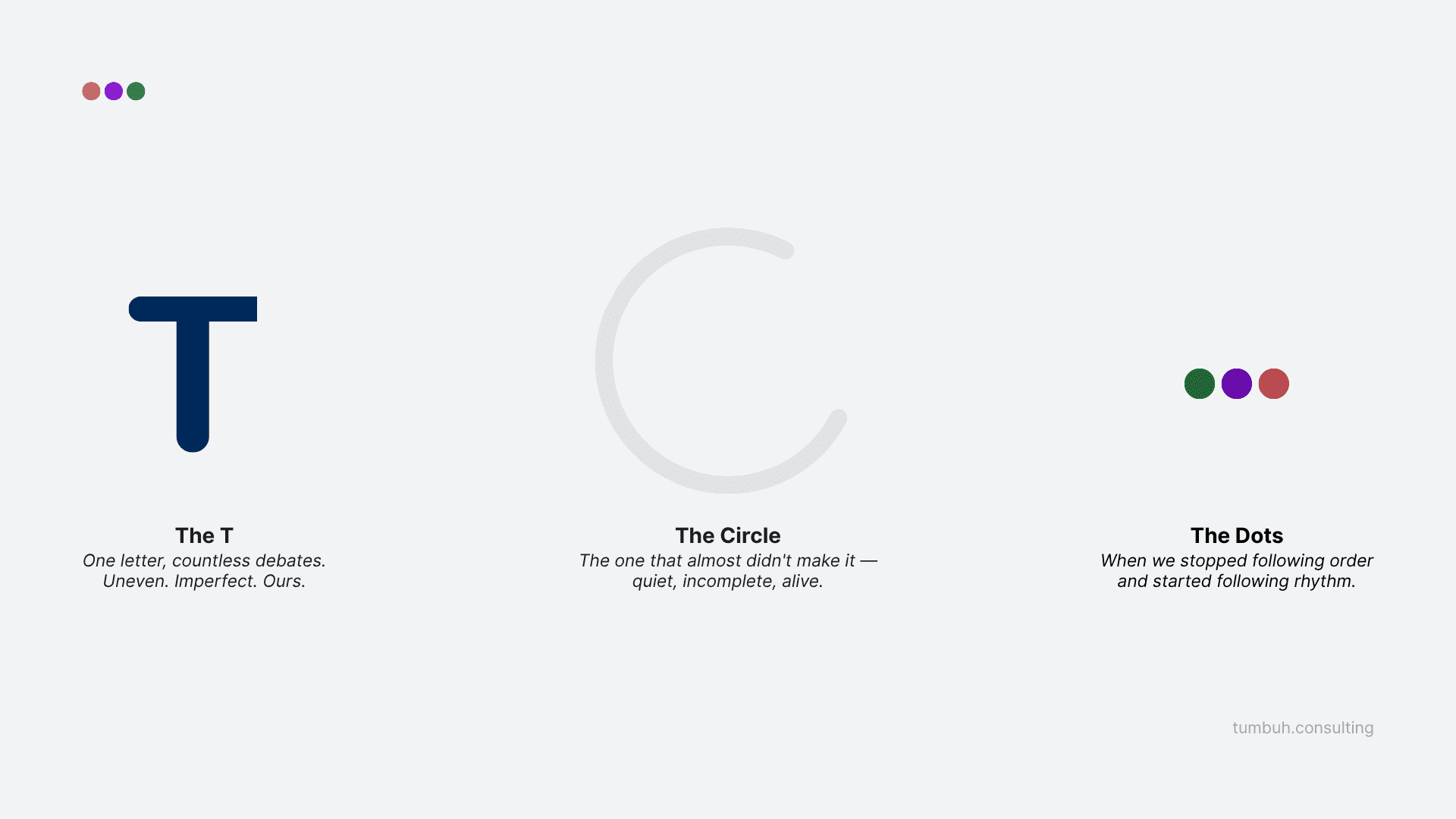 TUMBUH Insights - Lessons from Our Rebrand - The T, Circle, and Dots
