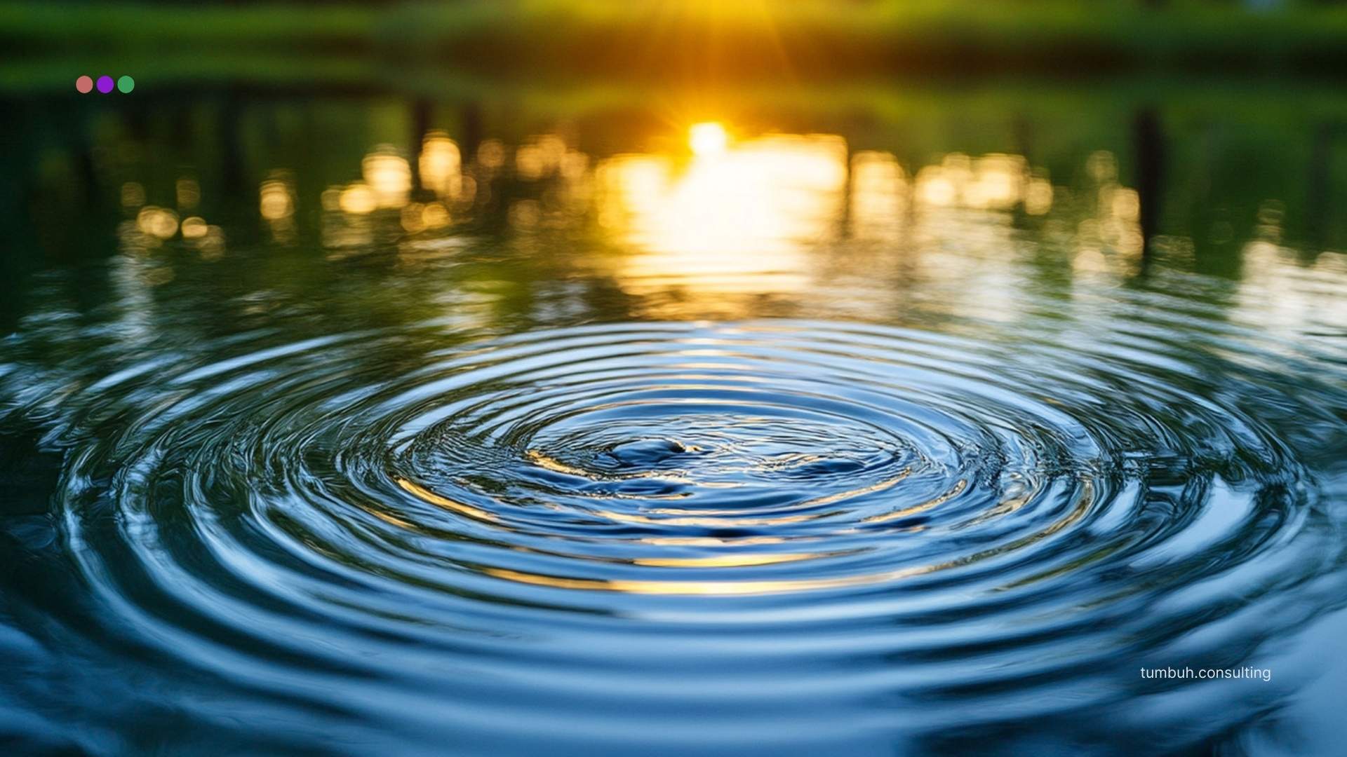 TUMBUH Insights - Brands Fail When They Talk Like Robots - Ripple Effect of Clarity