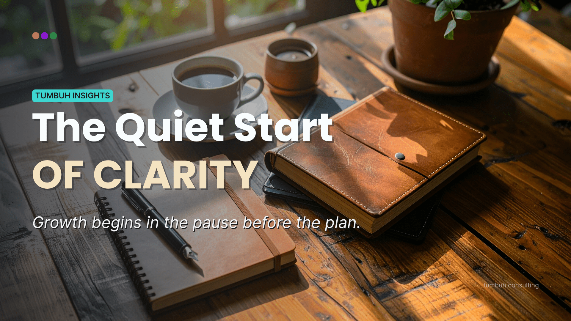 TUMBUH Insights - Curiosity as Strategy - Featured Image